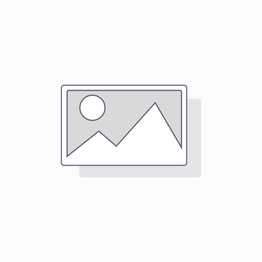 SAI Code Pro
